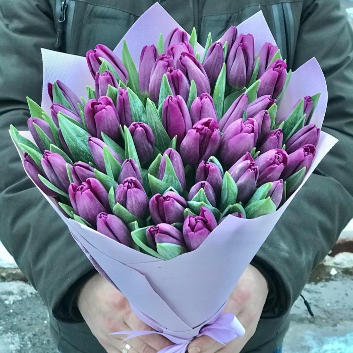 Букет из 51 фиолетового тюльпана, фото 3